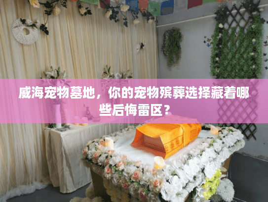 威海宠物墓地，你的宠物殡葬选择藏着哪些后悔雷区？