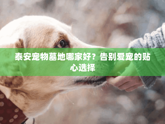 泰安宠物墓地哪家好？告别爱宠的贴心选择