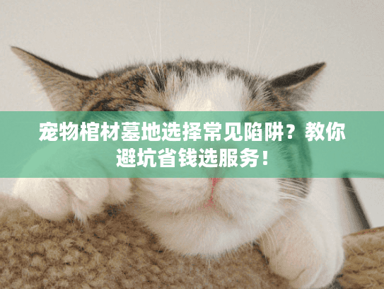 宠物棺材墓地选择常见陷阱？教你避坑省钱选服务！