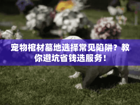 宠物棺材墓地选择常见陷阱？教你避坑省钱选服务！