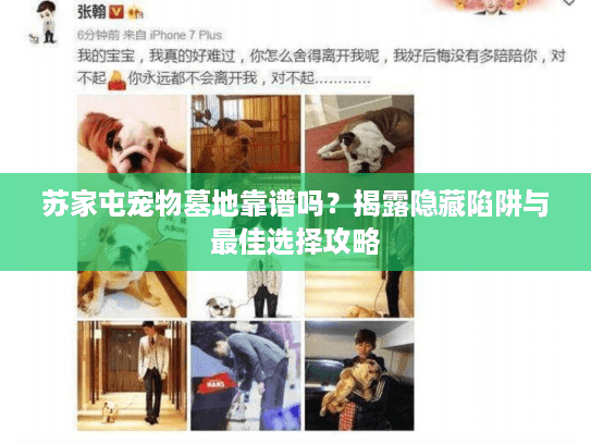苏家屯宠物墓地靠谱吗？揭露隐藏陷阱与最佳选择攻略