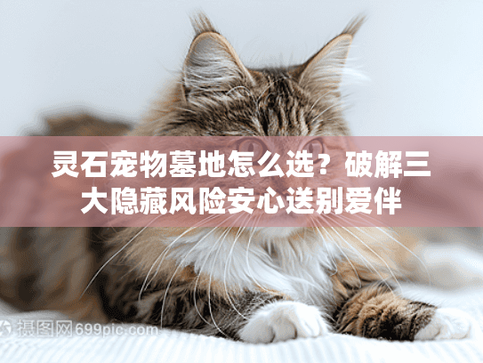 灵石宠物墓地怎么选？破解三大隐藏风险安心送别爱伴