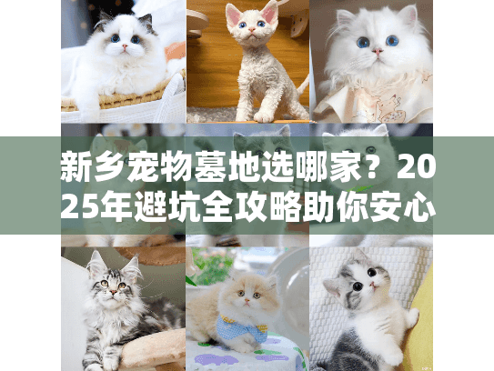 新乡宠物墓地选哪家？2025年避坑全攻略助你安心决策