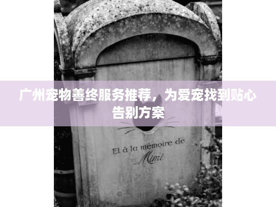 广州宠物善终服务推荐，为爱宠找到贴心告别方案