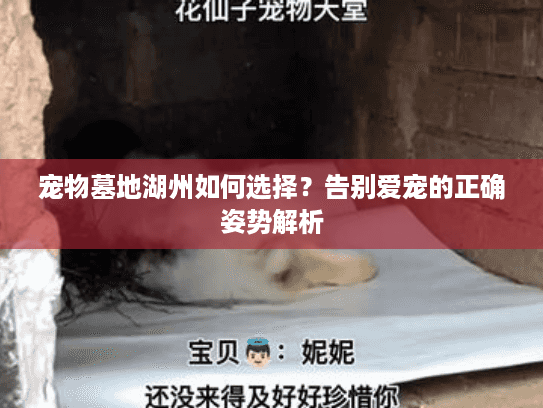 宠物墓地湖州如何选择？告别爱宠的正确姿势解析