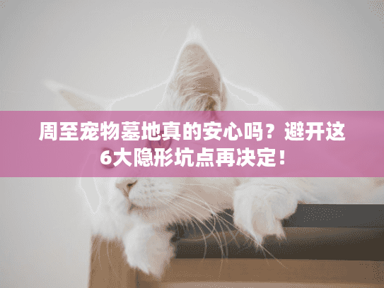 周至宠物墓地真的安心吗？避开这6大隐形坑点再决定！