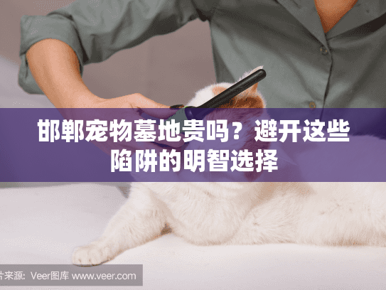 邯郸宠物墓地贵吗?避开这些陷阱的明智选择 邯郸宠物墓地贵吗?避开这些陷阱的明智选择