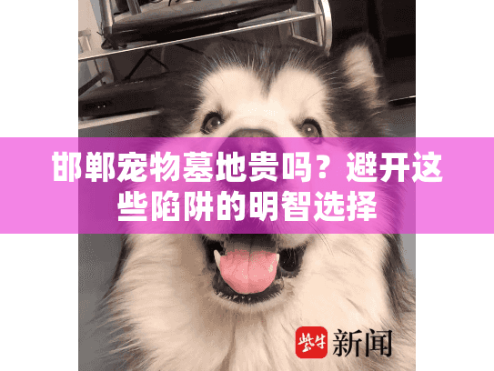 邯郸宠物墓地贵吗?避开这些陷阱的明智选择 邯郸宠物墓地贵吗?避开这些陷阱的明智选择