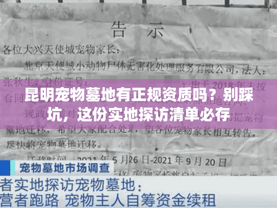 昆明宠物墓地有正规资质吗？别踩坑，这份实地探访清单必存