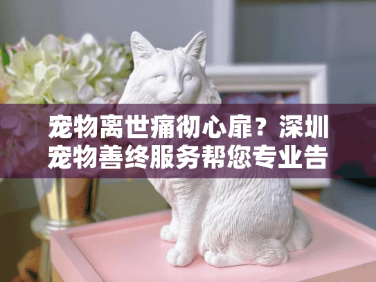 宠物离世痛彻心扉？深圳宠物善终服务帮您专业告别