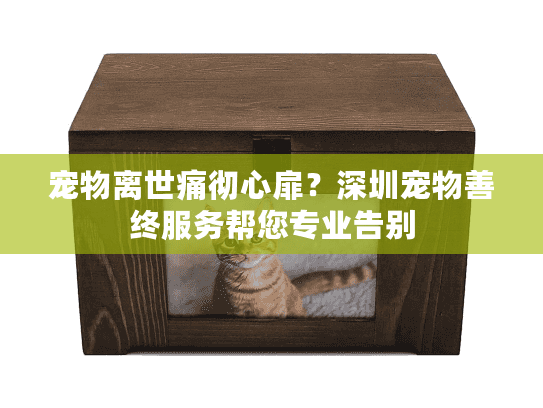 宠物离世痛彻心扉？深圳宠物善终服务帮您专业告别