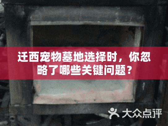 迁西宠物墓地选择时,你忽略了哪些关键问题? 迁西宠物墓地选择时,你忽略了哪些关键问题?
