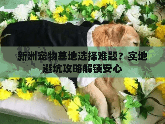 新洲宠物墓地选择难题?实地避坑攻略解锁安心 新洲宠物墓地选择难题?实地避坑攻略解锁安心