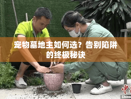 宠物墓地主如何选?告别陷阱的终极秘诀 宠物墓地主如何选?告别陷阱的终极秘诀