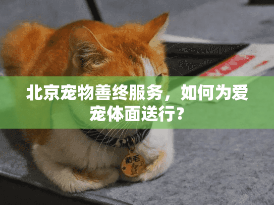 北京宠物善终服务，如何为爱宠体面送行？