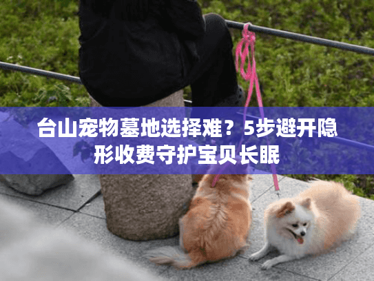 台山宠物墓地选择难？5步避开隐形收费守护宝贝长眠