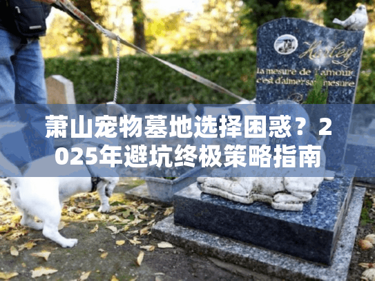 萧山宠物墓地选择困惑？2025年避坑终极策略指南