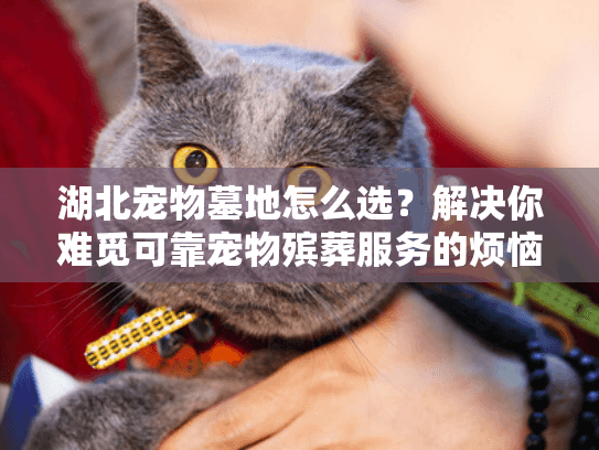 湖北宠物墓地怎么选？解决你难觅可靠宠物殡葬服务的烦恼