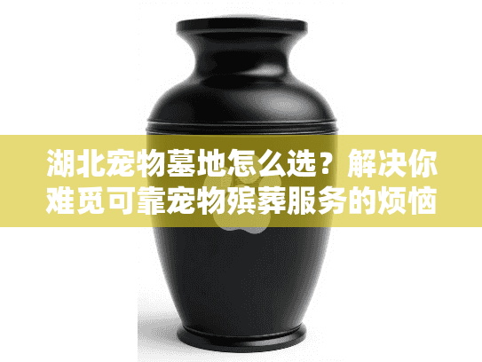 湖北宠物墓地怎么选？解决你难觅可靠宠物殡葬服务的烦恼