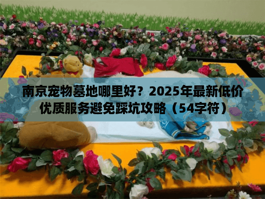 南京宠物墓地哪里好？2025年最新低价优质服务避免踩坑攻略（54字符）