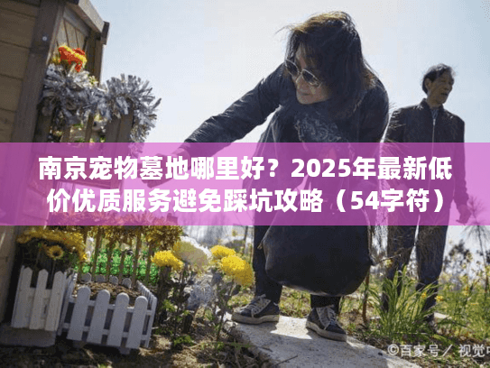 南京宠物墓地哪里好？2025年最新低价优质服务避免踩坑攻略（54字符）
