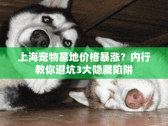 上海宠物墓地价格暴涨？内行教你避坑3大隐藏陷阱