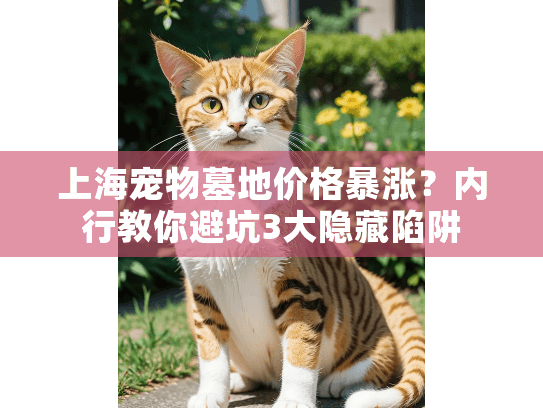 上海宠物墓地价格暴涨？内行教你避坑3大隐藏陷阱