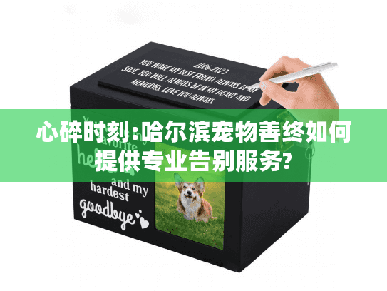心碎时刻:哈尔滨宠物善终如何提供专业告别服务?