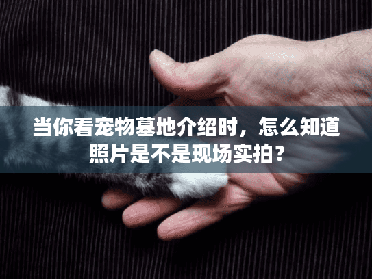 当你看宠物墓地介绍时，怎么知道照片是不是现场实拍？