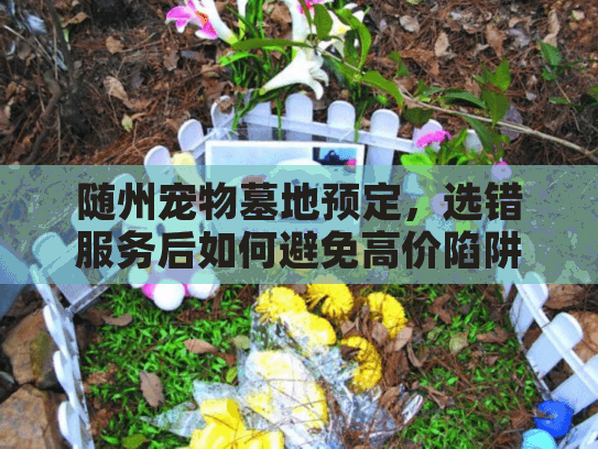 随州宠物墓地预定，选错服务后如何避免高价陷阱？
