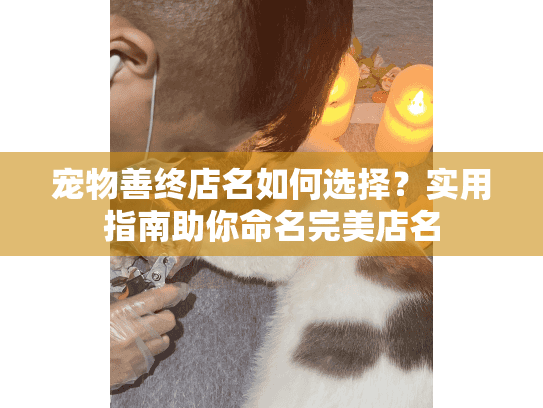 宠物善终店名如何选择？实用指南助你命名完美店名