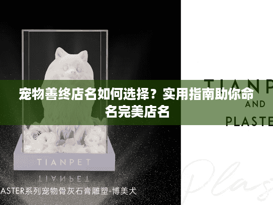宠物善终店名如何选择？实用指南助你命名完美店名