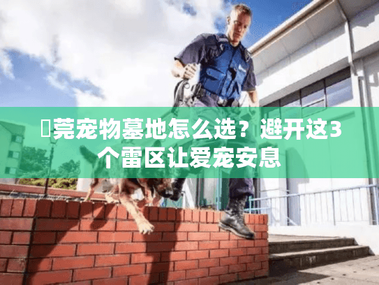 東莞宠物墓地怎么选？避开这3个雷区让爱宠安息