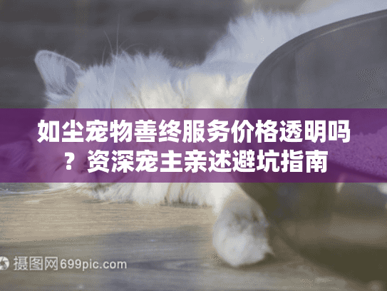 如尘宠物善终服务价格透明吗？资深宠主亲述避坑指南