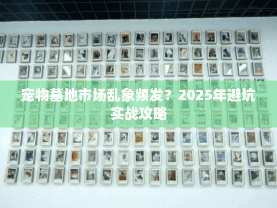 宠物墓地市场乱象频发？2025年避坑实战攻略