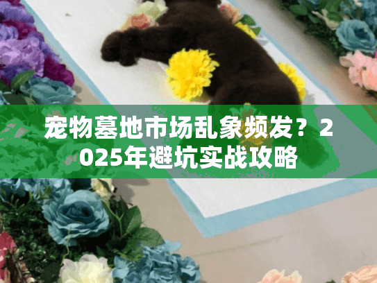 宠物墓地市场乱象频发？2025年避坑实战攻略