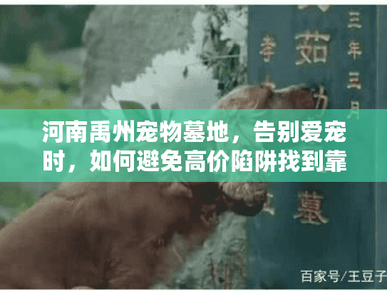 河南禹州宠物墓地,告别爱宠时,如何避免高价陷阱找到靠谱服务? 河南禹州宠物墓地,告别爱宠时,如何避免高价陷阱找到靠谱服务?