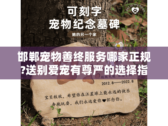邯郸宠物善终服务哪家正规?送别爱宠有尊严的选择指南
