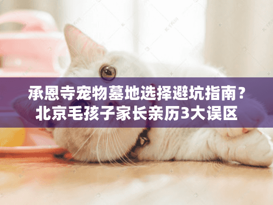 承恩寺宠物墓地选择避坑指南？北京毛孩子家长亲历3大误区