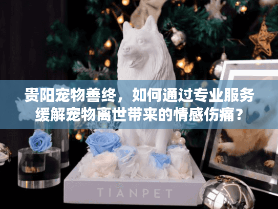贵阳宠物善终，如何通过专业服务缓解宠物离世带来的情感伤痛？