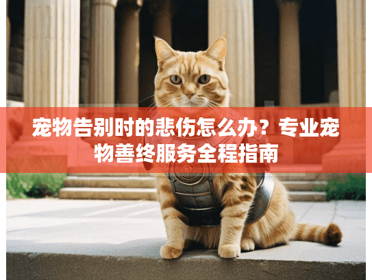 宠物告别时的悲伤怎么办？专业宠物善终服务全程指南