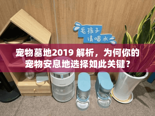 宠物墓地2019 解析，为何你的宠物安息地选择如此关键？