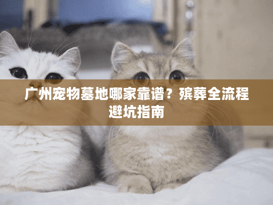 广州宠物墓地哪家靠谱？殡葬全流程避坑指南