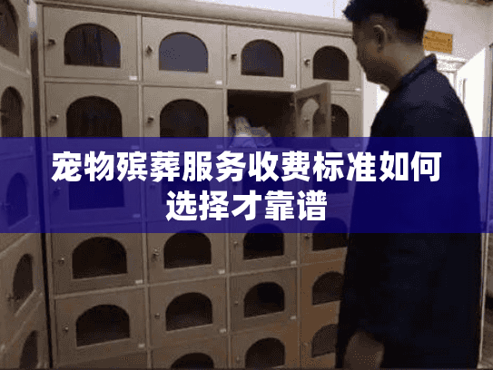 宠物殡葬服务收费标准如何选择才靠谱