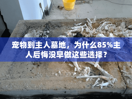 宠物到主人墓地，为什么85%主人后悔没早做这些选择？