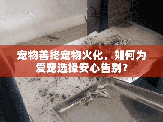 宠物善终宠物火化，如何为爱宠选择安心告别？
