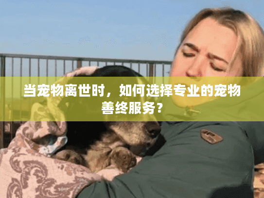 当宠物离世时，如何选择专业的宠物善终服务？