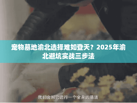 宠物墓地渝北选择难如登天？2025年渝北避坑实战三步法