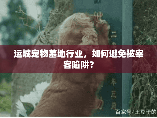 运城宠物墓地行业，如何避免被宰客陷阱？