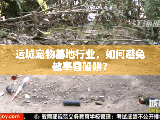 运城宠物墓地行业，如何避免被宰客陷阱？